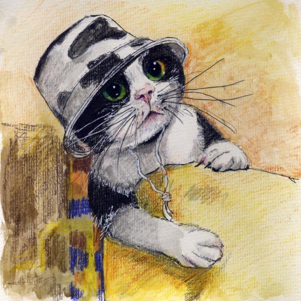 Cat in a hat)